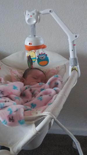 Photo - commentaire&nbsp;6.