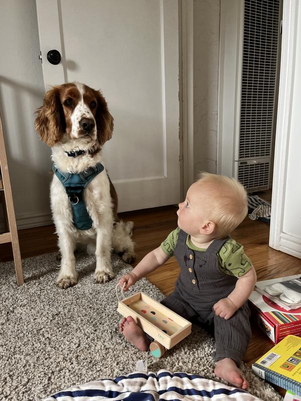 New onesie and overalls! Dog approved