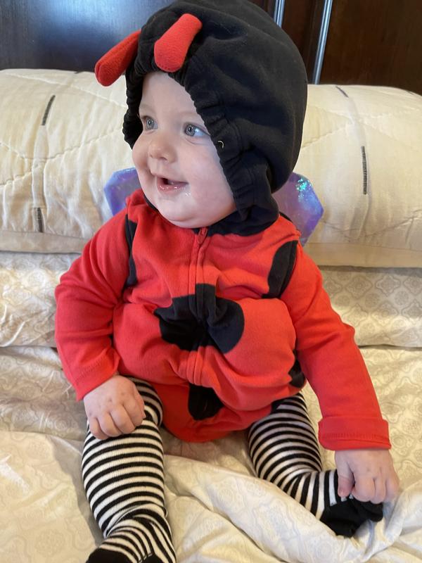 Little lady bug