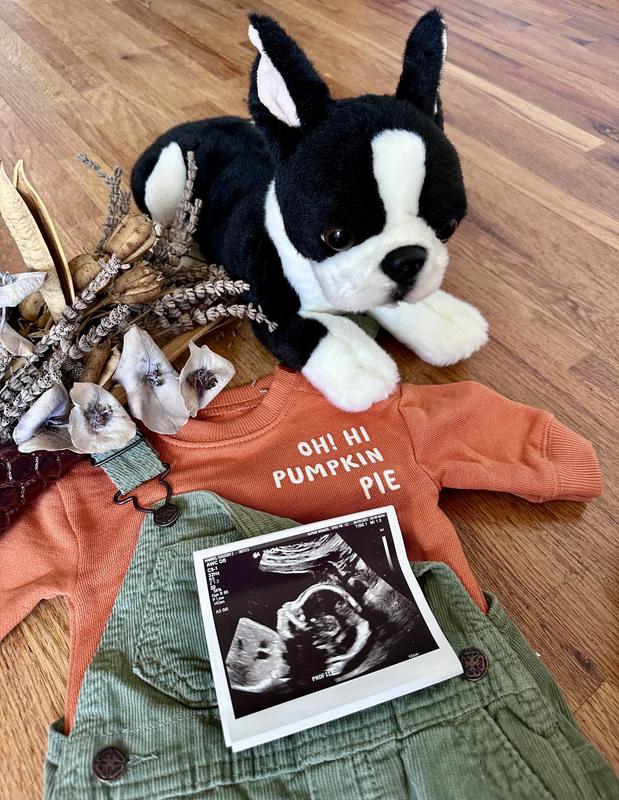 Used for our announcement photo!