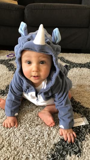 carters rhino costume