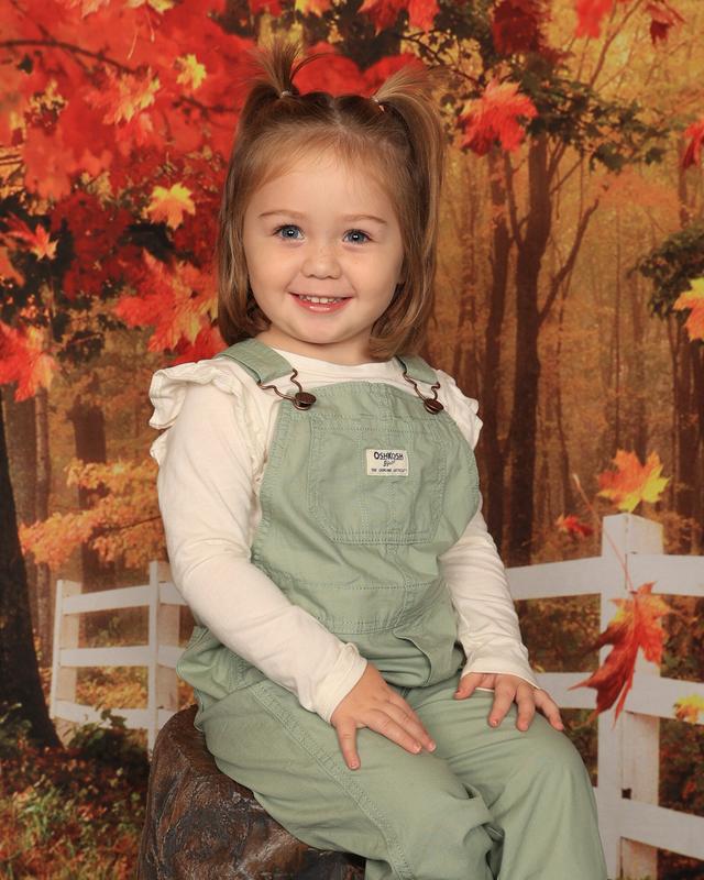 Toddler Hickory Stripe Overalls - OshKosh | Carter's