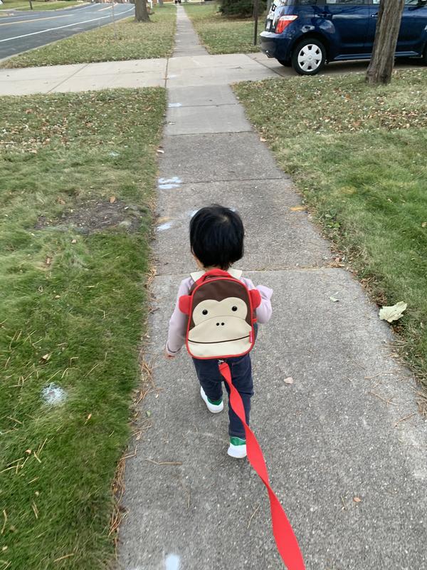 Walk everywhere with cutie little monkey