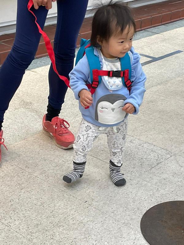 Zoo Mini Backpack With Safety Harness - Skip Hop | Carter's