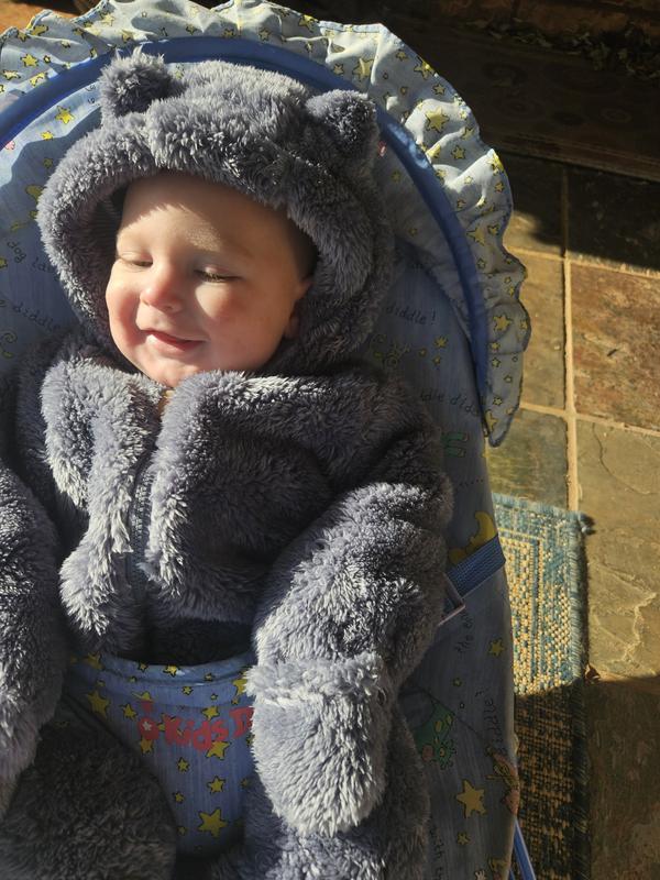 Happy baby bear