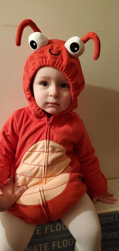 My little Lobster