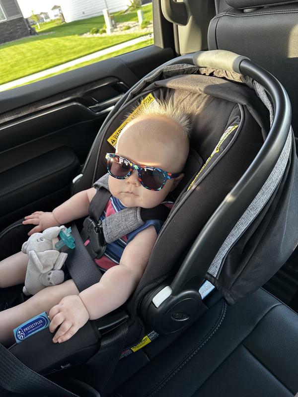 Dinosaur sunglasses 😎