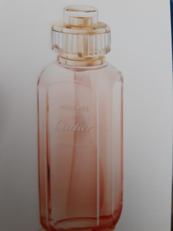 Les Rivieres De Cartier Insouciance