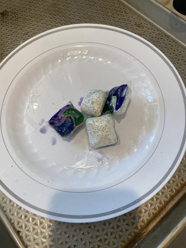 Photo - commentaire&nbsp;2.