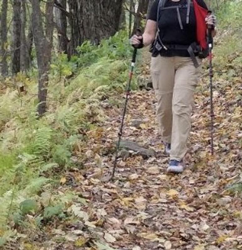 Gear Review: Cascade Mountain Tech Carbon Fiber Quick Lock Trekking Poles -  Trail to Peak