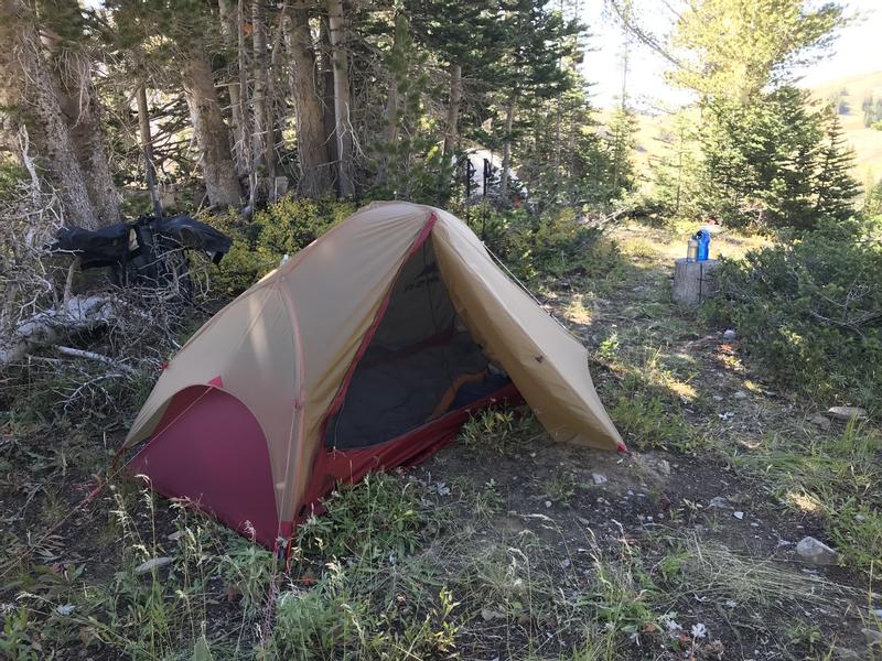 MSR FreeLite 1 Tent: 1-Person 3-Season - Hike & Camp