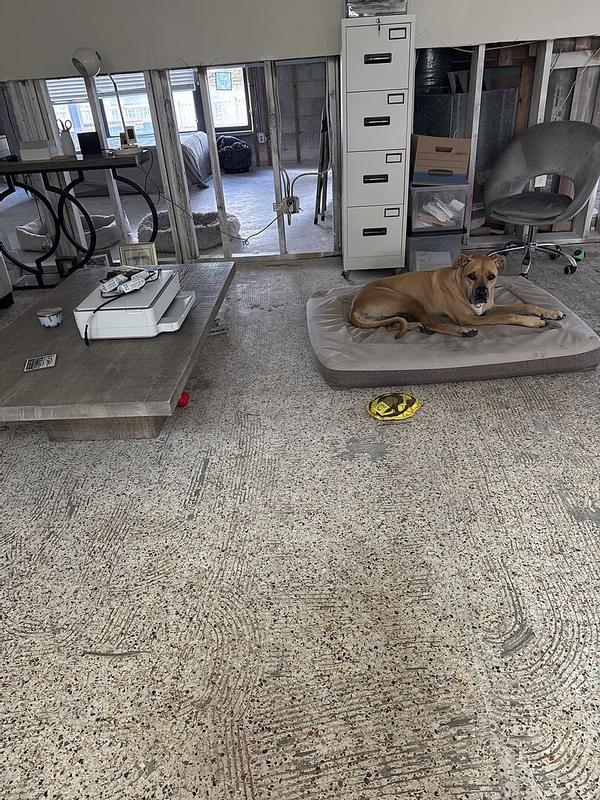 Customer photo for "I had this bed for"