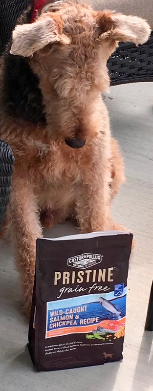 pristine salmon dog food