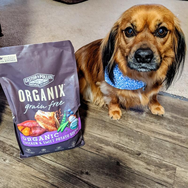 Organix senior dog food hotsell