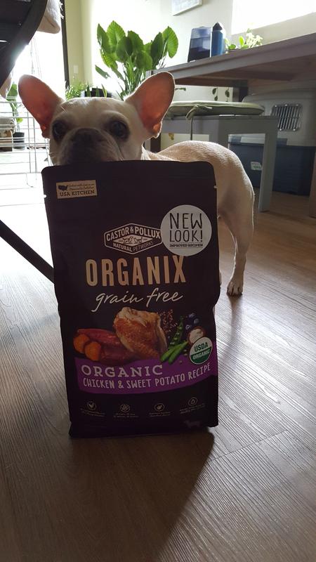 organix chicken and sweet potato dog food