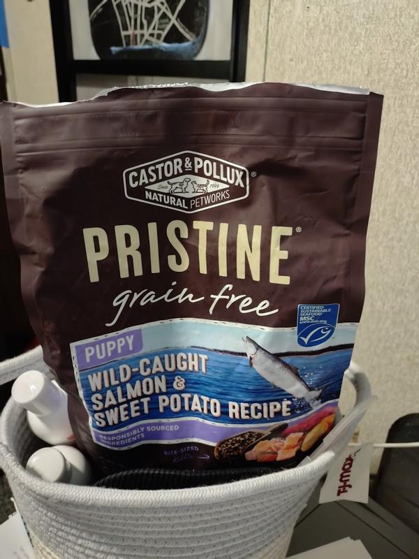 Castor Pollux Pristine Grain Free Puppy Wild Caught Salmon Sweet Potato Dry Food 4 lbs