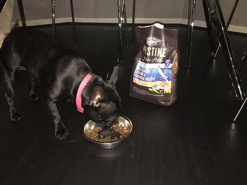 pristine salmon dog food