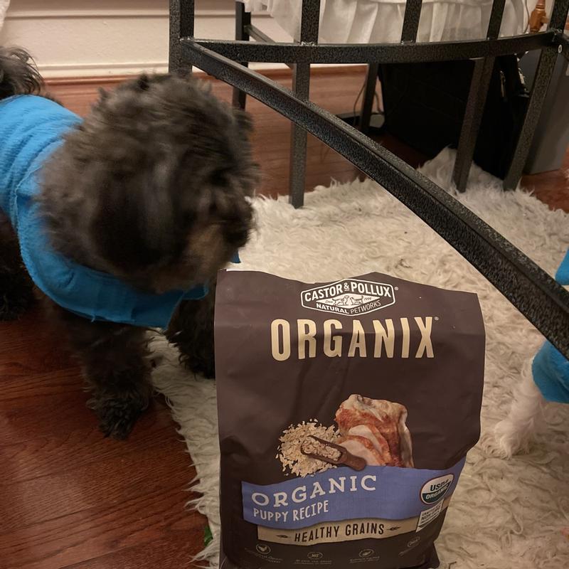 Can Castor Oil Induce Labor In A Dog