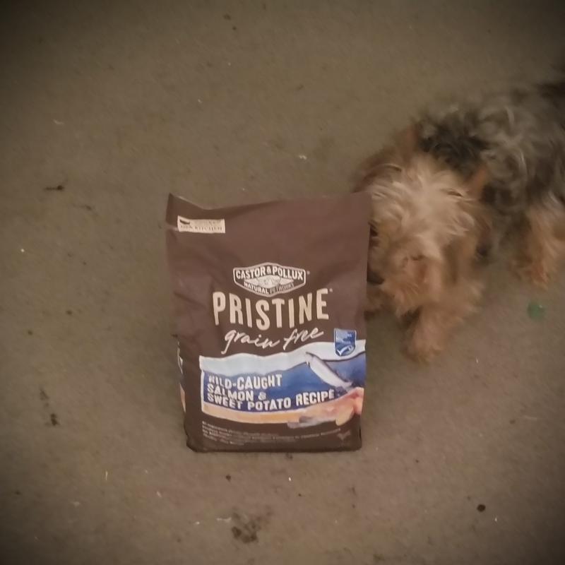 Pristine dog outlet food salmon