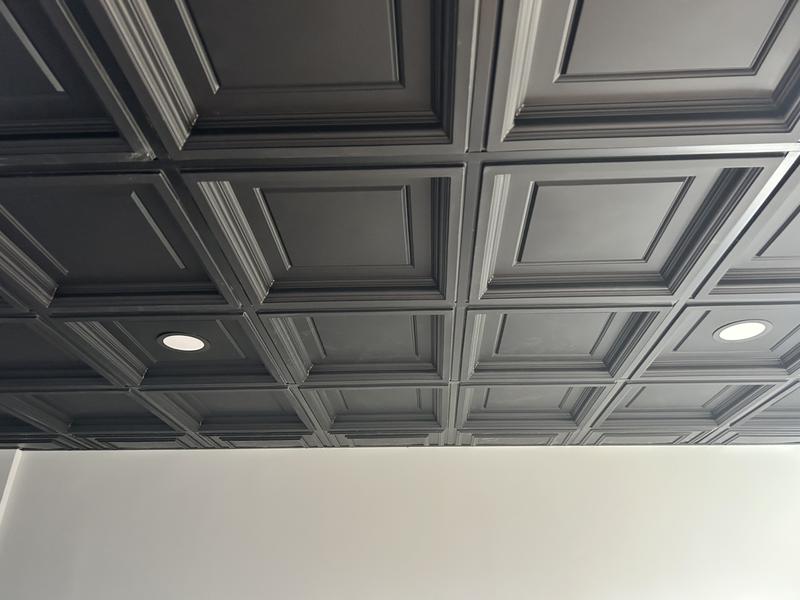 Ceilume 2-ft x 2-ft Madison Signature Series Black PVC Drop Ceiling ...