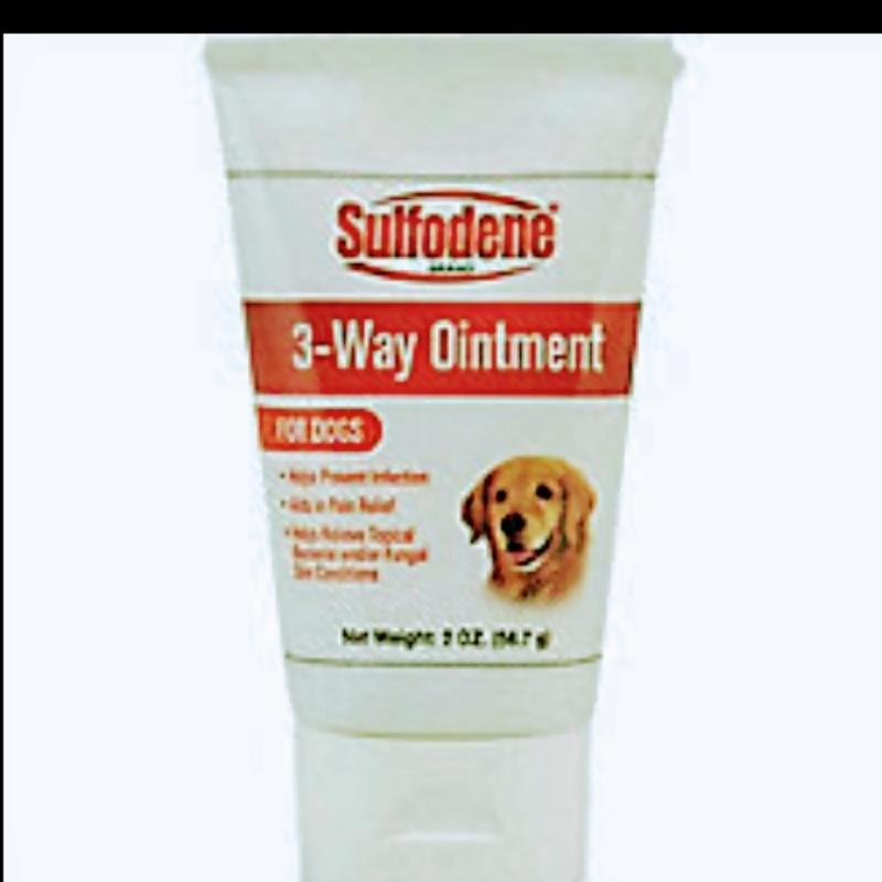 can i put antibiotic ointment in my dogs eye