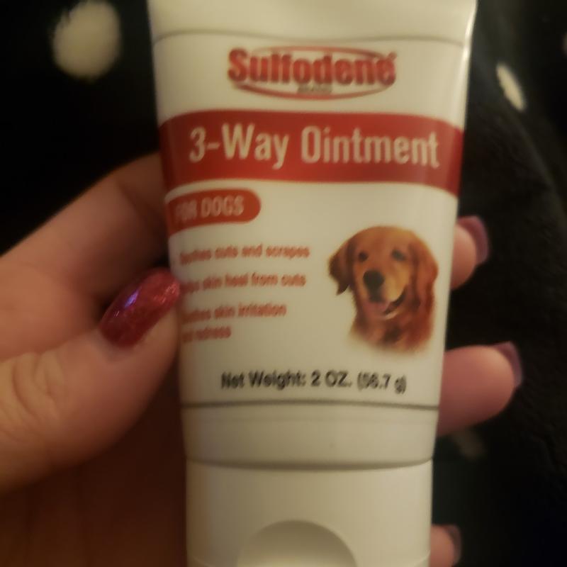 Farnam Sulfodene Dog Wound Care Ointment, Relieves Pain & Prevents  Infection For Dog Cuts, Scrapes, Bites and Injuries, 2 Ounce