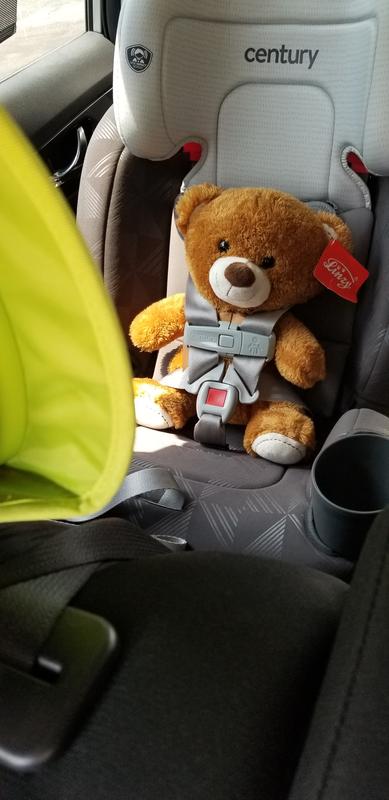 Car seat up 2024 to 100 lbs