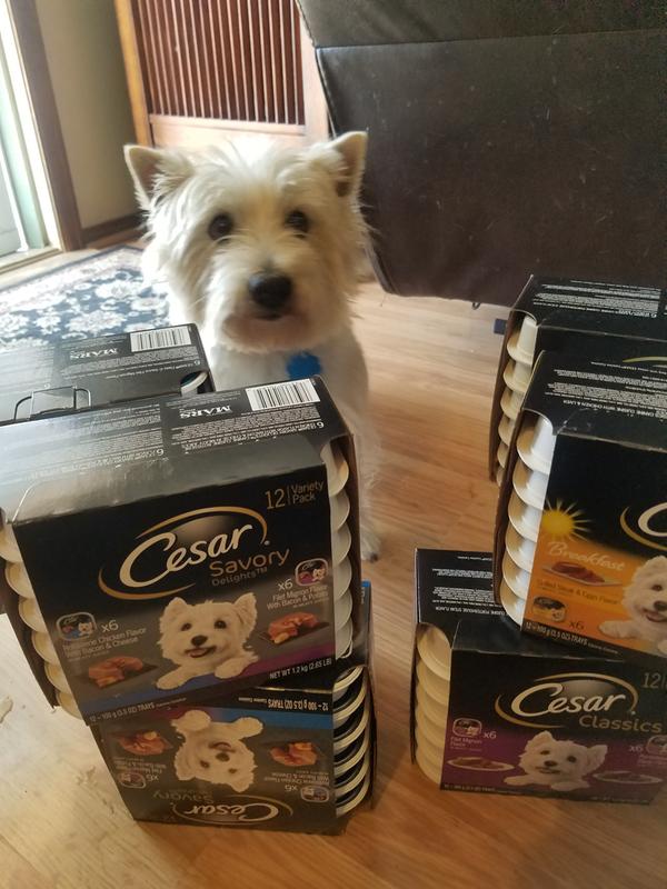 Costco caesars dog clearance food