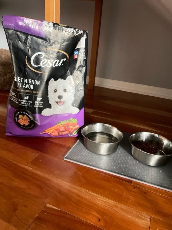 CESAR Filet Mignon With Spring Vegetables Garnish Dry Dog Food