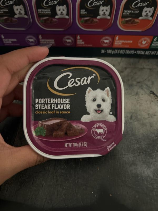 Steak Lover's Wet Dog Food Multipack 36 Count | CESAR®