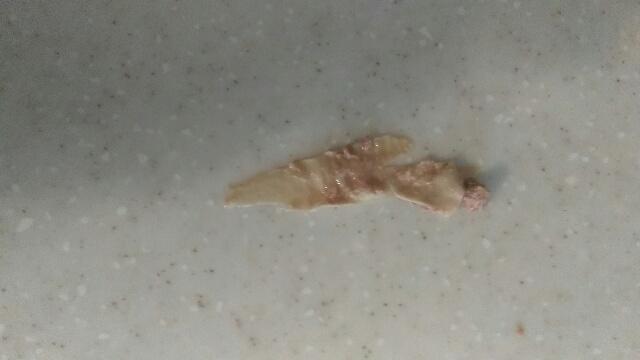 What is this?