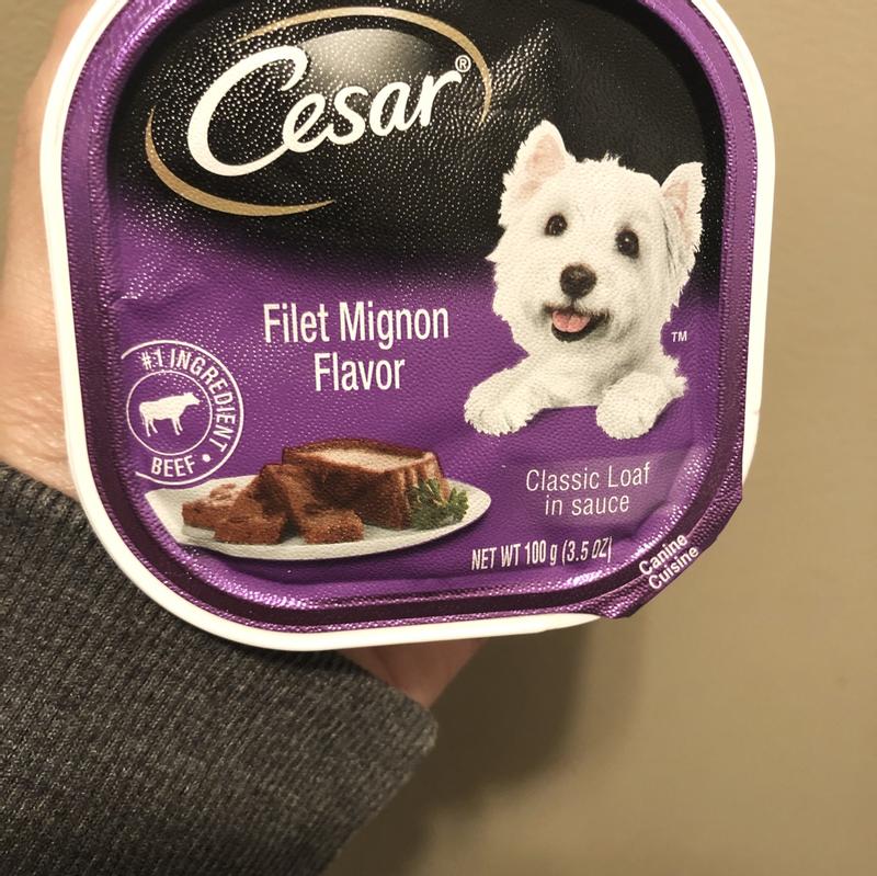 Cesar filet mignon on sale dog food review