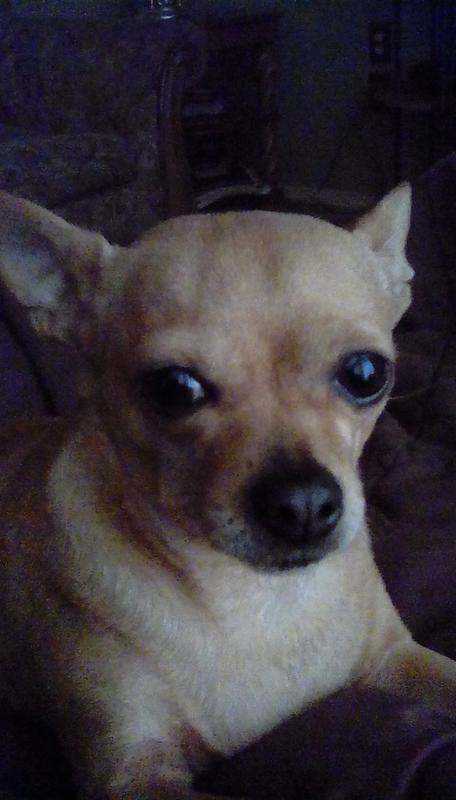 Worlds Pickiest Eater .