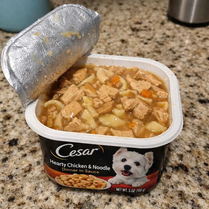 Home Delights™ Hearty Chicken & Noodle Dinner in Sauce