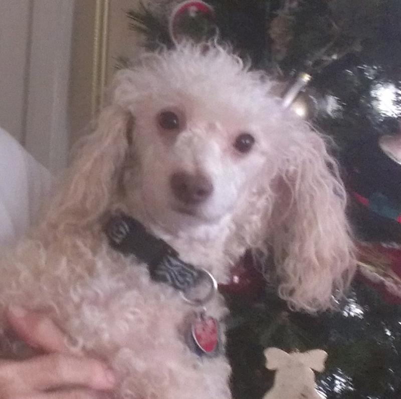 Photo - commentaire 2.