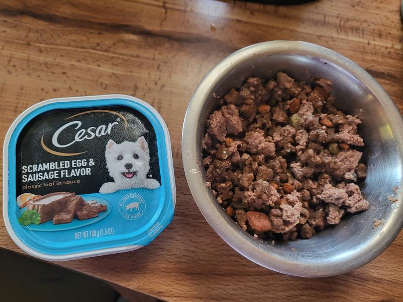 Caesars cat food hotsell