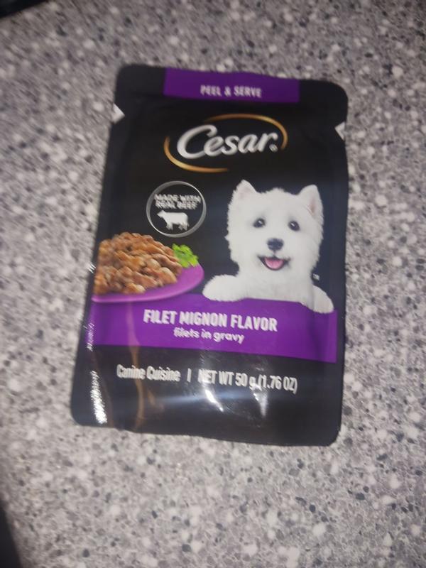 CESAR Wet Dog Food Filets in Gravy Filet Mignon Flavor 3.5 oz