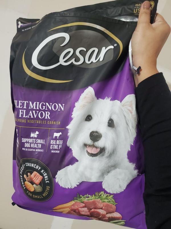 Cesar hard dog sales food