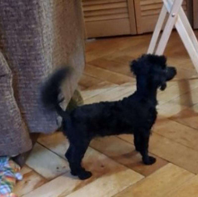 Photo - commentaire 1.