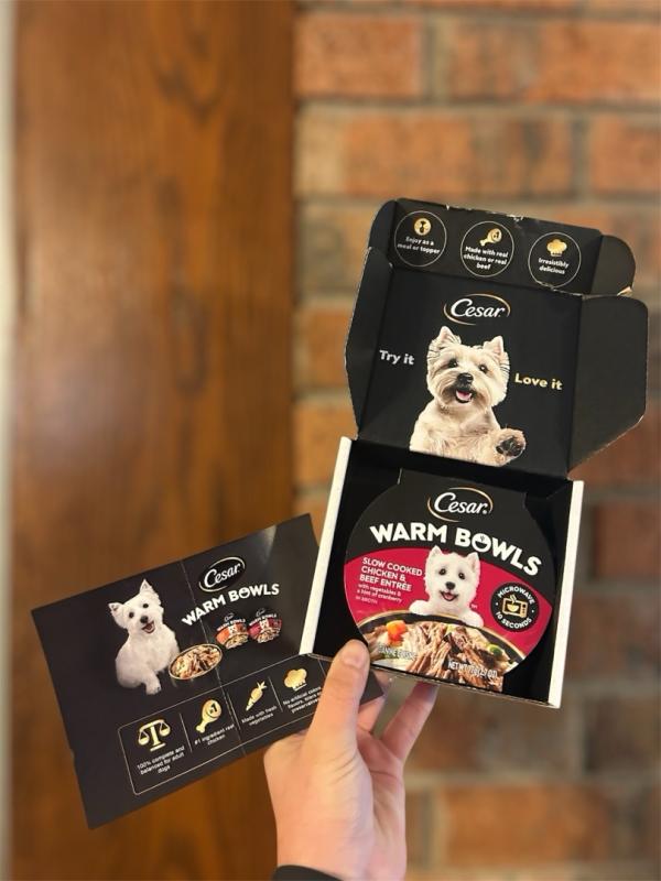 automatic dog feeder wet food Closer Pets Five-Meal Automatic Pet Feeder with Stainless Steel Bowl  Inserts and Ice Packs C500