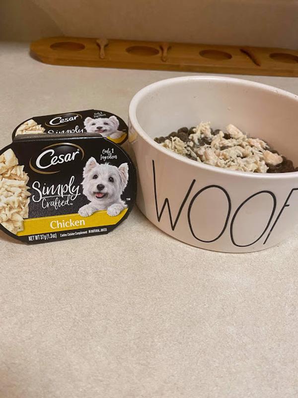 Cesar simply crafted dog food reviews best sale