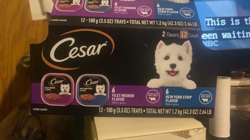  CESAR Filets in Gravy Adult Wet Dog Food, Filet Mignon Flavor,  3.5 oz. Easy Peel Trays, Pack of 24 : Canned Wet Pet Food : Pet Supplies