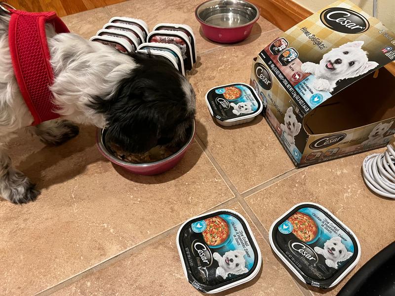 Loving her dog food