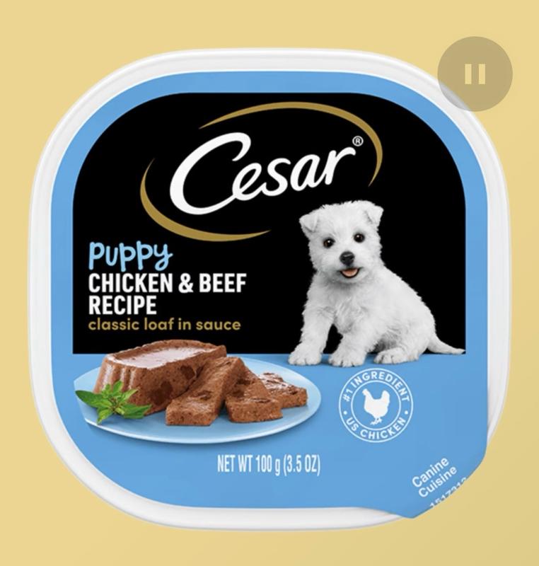 Classic Loaf in Sauce Puppy Chicken Beef