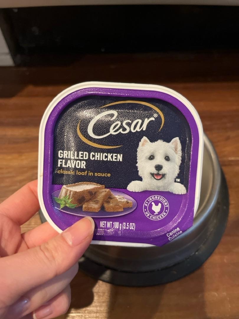 Cesar grilled chicken dog food sale