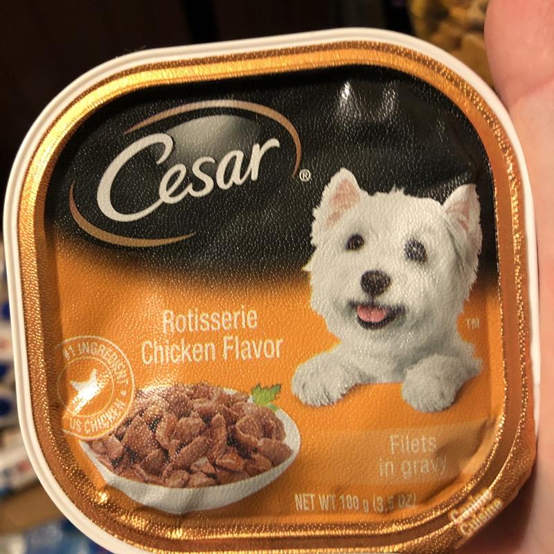  CESAR Filets in Gravy Adult Wet Dog Food, Filet Mignon Flavor,  3.5 oz. Easy Peel Trays, Pack of 24 : Canned Wet Pet Food : Pet Supplies