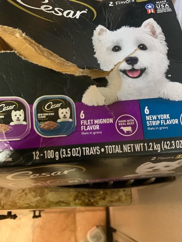 Cesar Filets In Gravy Wet Dog Food - Filet Mignon Flavor In Convenient 1.76 Oz Pouches, 20 Pack
