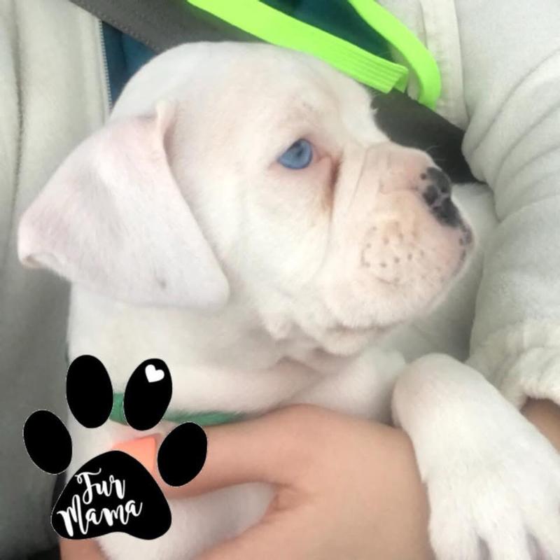 Photo - commentaire 1.