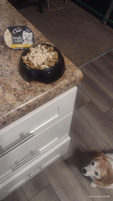 Little caesars simply clearance crafted dog food