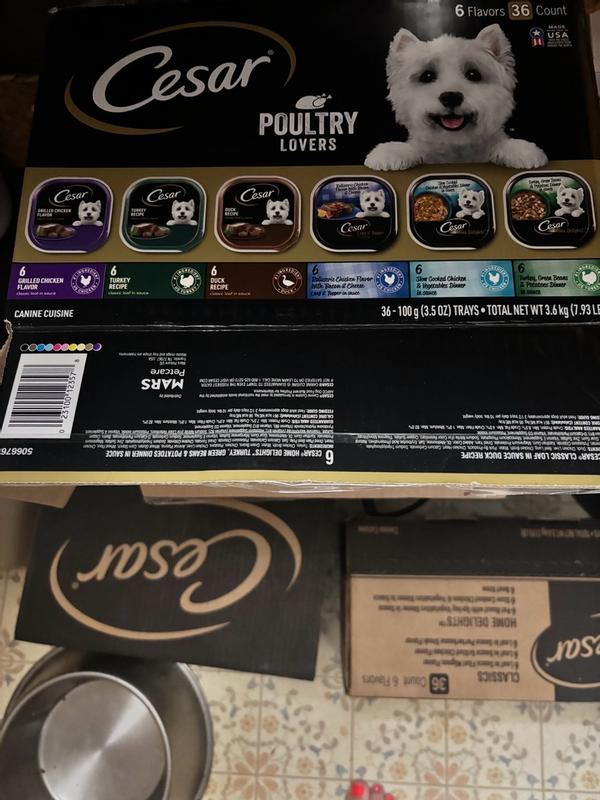 Photo - commentaire 3.